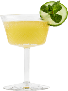 Hendrick’s Gin Summer Punch cocktail