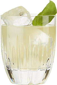 Hendrick's Gin Basil Smash Cocktail