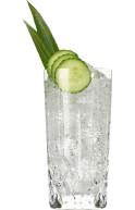 Hendrick's Gin Amazonia & Tonic Cocktail