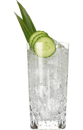 Hendrick's Gin Amazonia & Tonic Cocktail