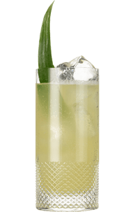 Hendrick's Gin Amazonia Fizz Cocktail