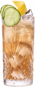 Gin Buck CO