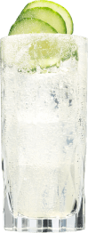 Hendrick's Neptunia Gin Fizz