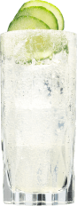 Hendrick's Neptunia Gin Fizz