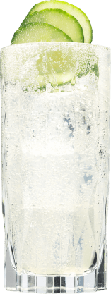 Hendrick's Neptunia Gin Fizz