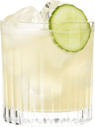 Hendrick's Gin Neptunia Margarita 