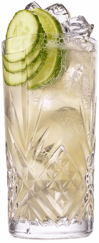 Gin Mule CO