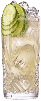 Gin Mule CO
