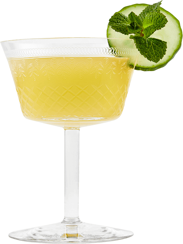 Hendrick’s Gin Summer Punch cocktail