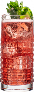 Hendrick’s Gin Cranberry Fizz cocktail