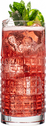 Hendrick’s Gin Cranberry Fizz cocktail