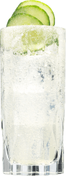 Hendricks Gin Neptunia Fizz Cocktail