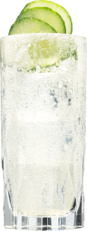 Hendricks Gin Neptunia Fizz Cocktail