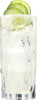Hendricks Gin Neptunia Fizz Cocktail