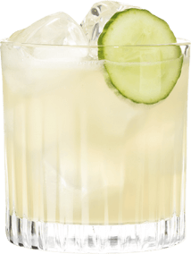 Hendrick's Gin Curious Neptunia Margarita Cocktail 