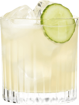 Hendrick's Gin Curious Neptunia Margarita Cocktail 