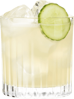 Hendrick's Gin Curious Neptunia Margarita Cocktail 