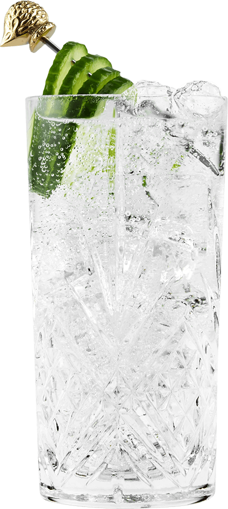 2022 - Gin and tonic close up
