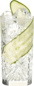 Hendricks Gin Neptunia and Tonic Cocktail