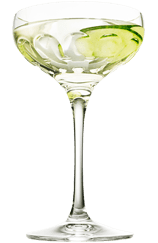 Orbium Martini