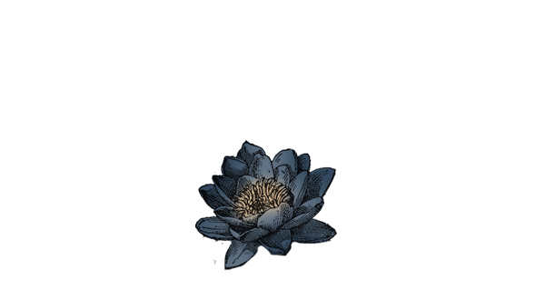 Addition of Blue Lotus
