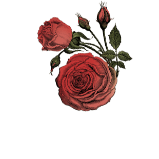 Essence of Rose