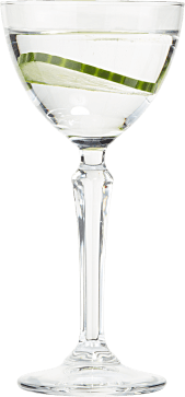 Hendrick's Gin Martini cocktail 