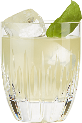 Hendrick's Gin Basil Smash cocktail