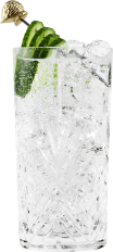 Hendrick’s Original Gin & Tonic Cocktail
