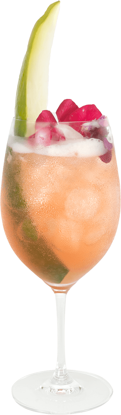 Hendrick's Gin cocktail Cucumber Blossom