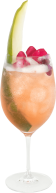 Hendrick's Gin cocktail Cucumber Blossom
