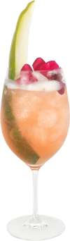 Hendrick's Gin cocktail Cucumber Blossom