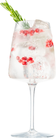 Hendrick's Gin Wintertide Spritz cocktail