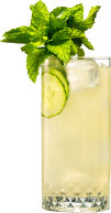 Hendrick’s Lunar Impulse Gin cocktail