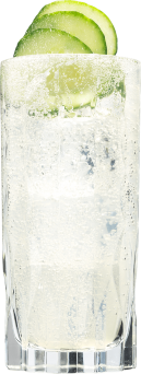 Hendrick's Gin Neptunia Fizz Cocktail