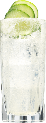 Hendrick's Gin Neptunia Fizz Cocktail