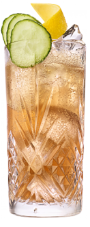 Hendrick’s Gin Buck cocktail