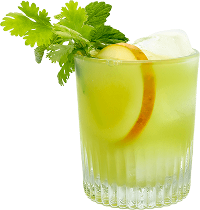 Hendrick's Gin Cocktail Into the woods