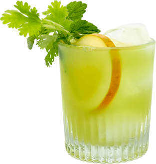 Hendrick's Gin Cocktail Into the woods