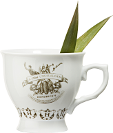 Hendrick's Mr. Micawber's Hot Gin Punch cocktail