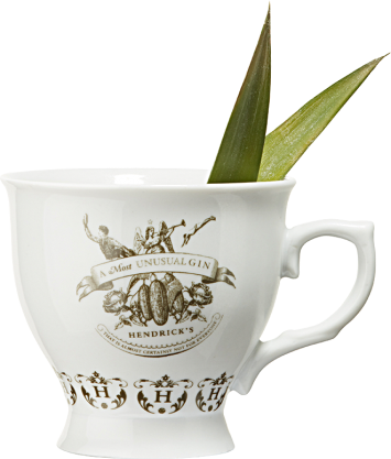 Hendrick's Mr. Micawber's Hot Gin Punch cocktail