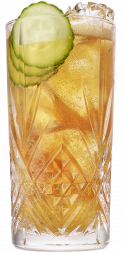 Hendrick’s Supersonic Gin & Tonic Cocktail