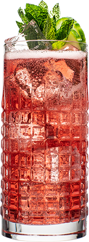 Cranberry Fizz