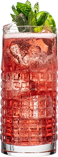Hendrick’s Gin Cranberry Fizz cocktail