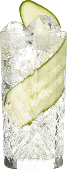 Hendrick's Gin Neptunia Tonic Cocktail