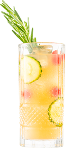 Hendrick's Gin Festivus Fizz Cocktail