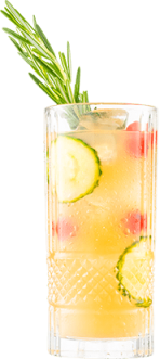 Hendrick's Gin Festivus Fizz Cocktail